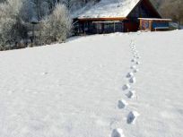 2009_0109_Uslar_im_Winter0143