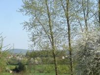 DSC05669