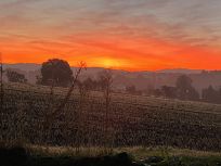 IMG_1696