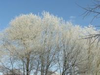 2009_0109_Uslar_im_Winter0111
